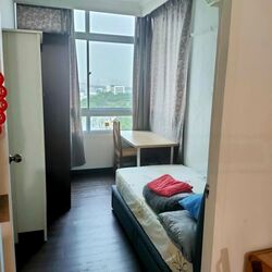 Sherwood Towers (D21), Apartment #488948811